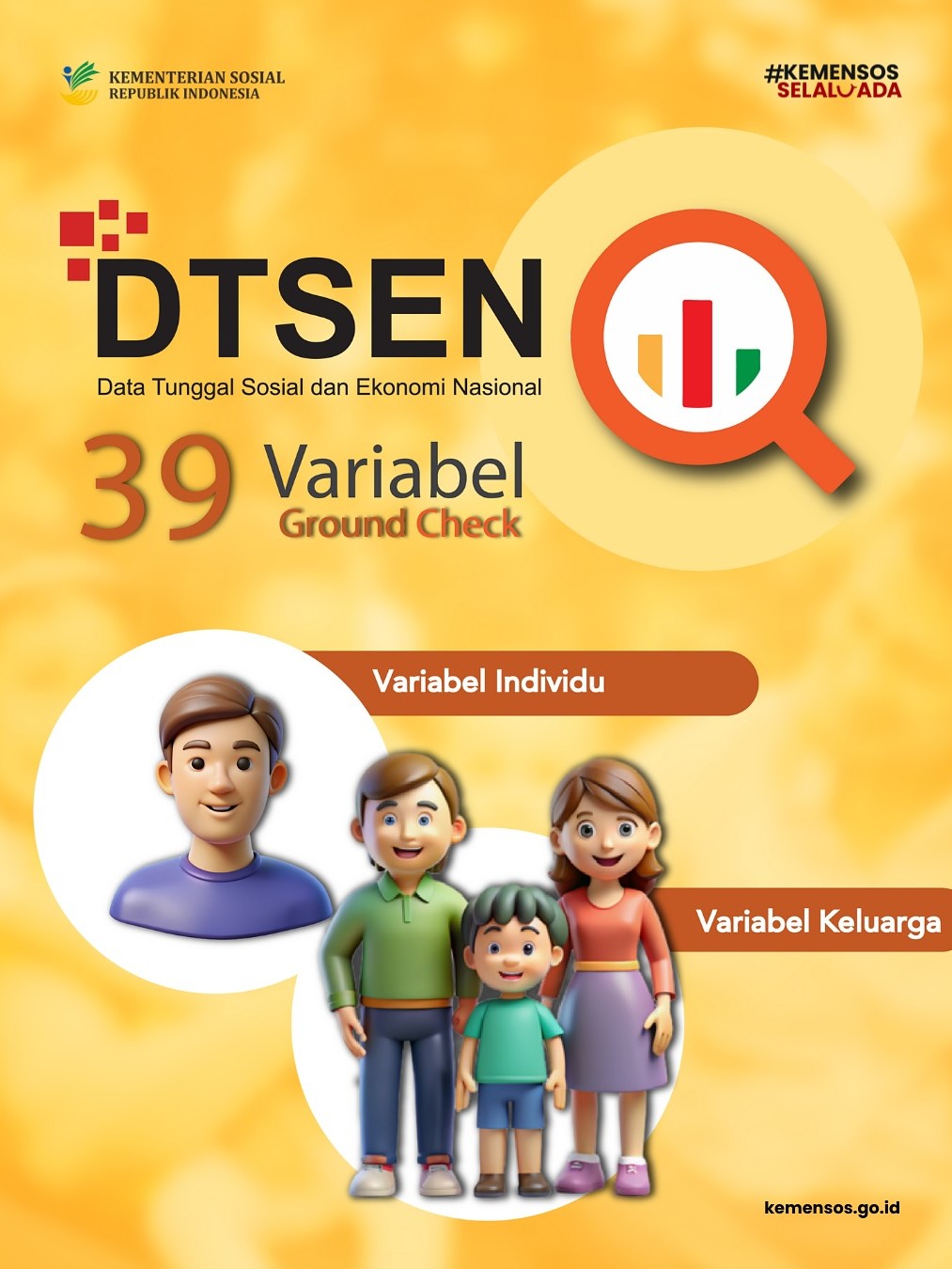 DTSEN VARIABLE GROUND CHECK